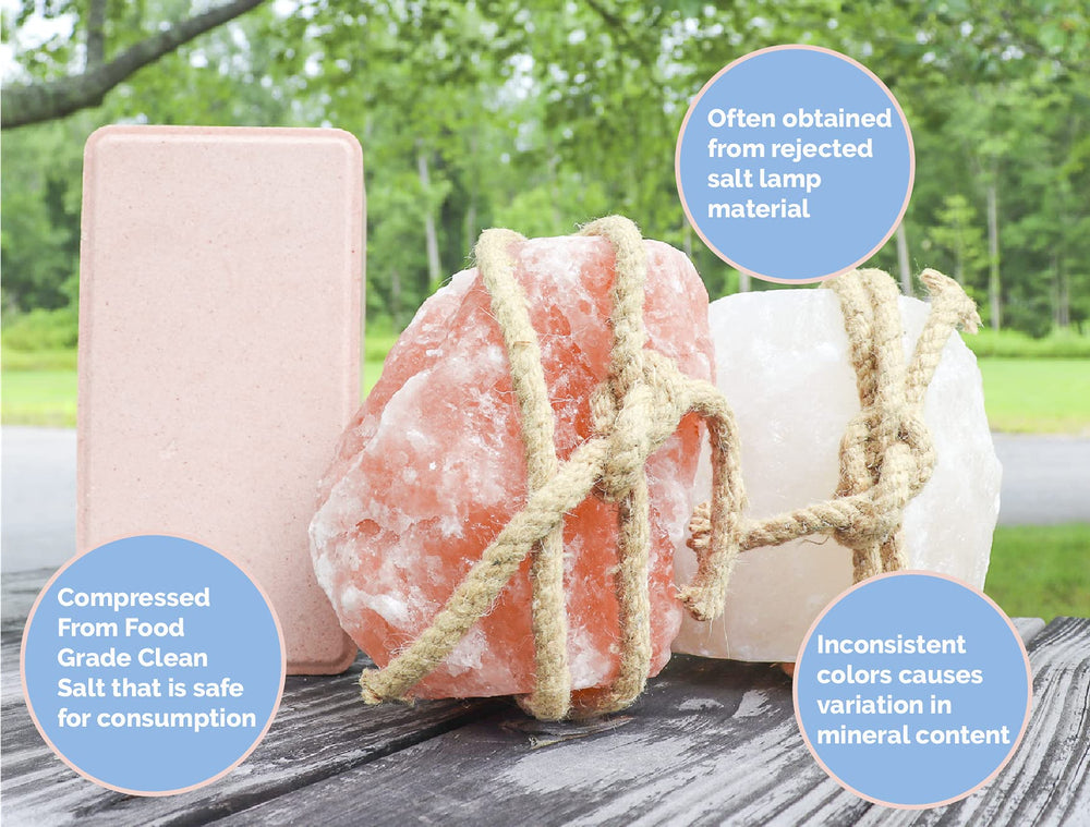 Bloc rose résistant en extérieur Himalayan Secrets, parfait en pâturage.