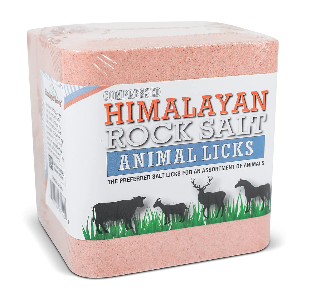 Bloc-sel rose Himalaya Secrets avec trou de montage, durable en extérieur.