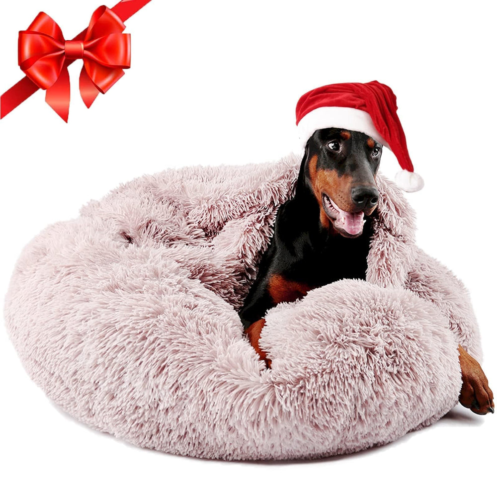 Himax nid-donuts-chien grand avec couverture intégrée, espace privé et confort.