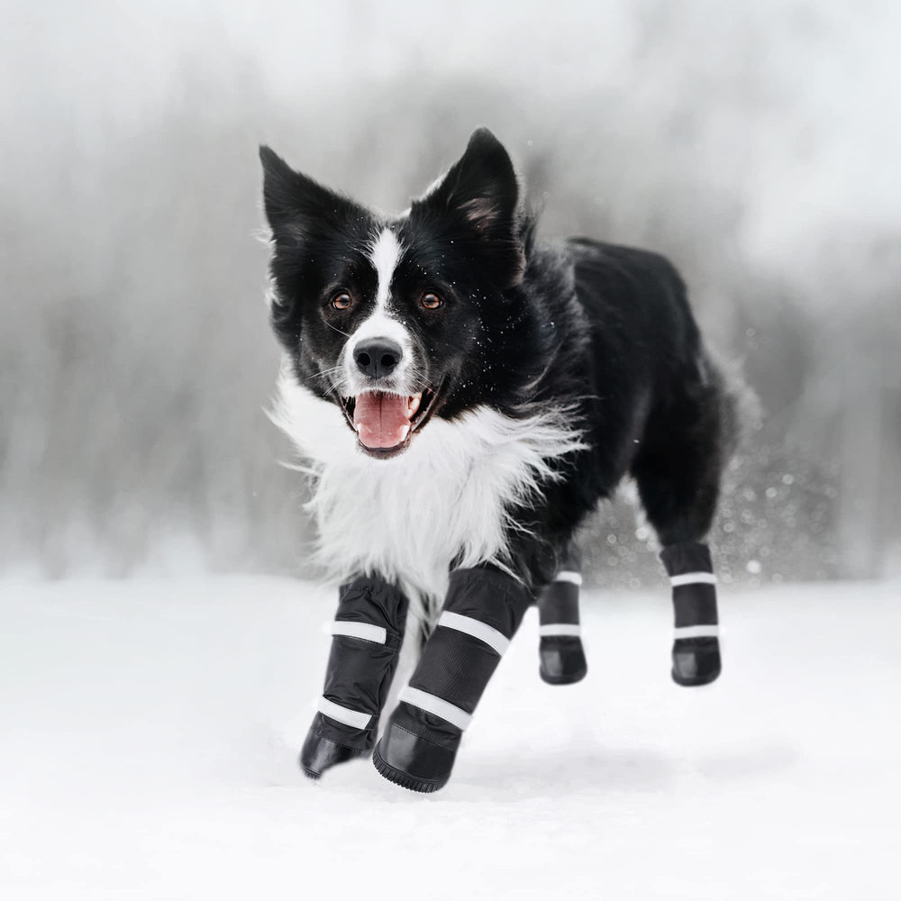 Hipaw bottes exterieur randonnée durable idéales pour balades et randonnées