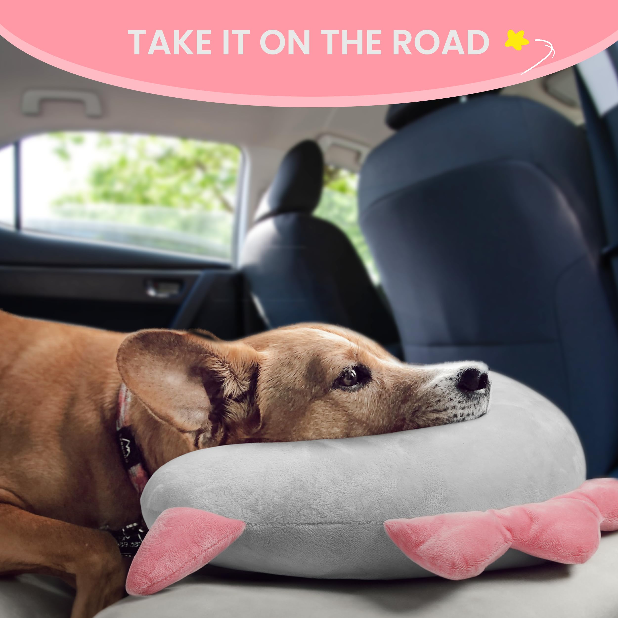 HiPetpy favorise un sommeil réparateur pour chiens et chats.