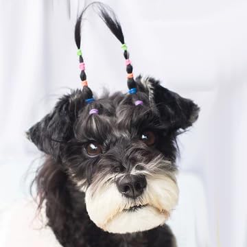 HipGirl bandes elastiques boucles chat, coiffure polyvalente et durable.
