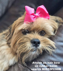 HipGirl bandes elastiques noeuds hauts chien, coiffure rapide et nette.