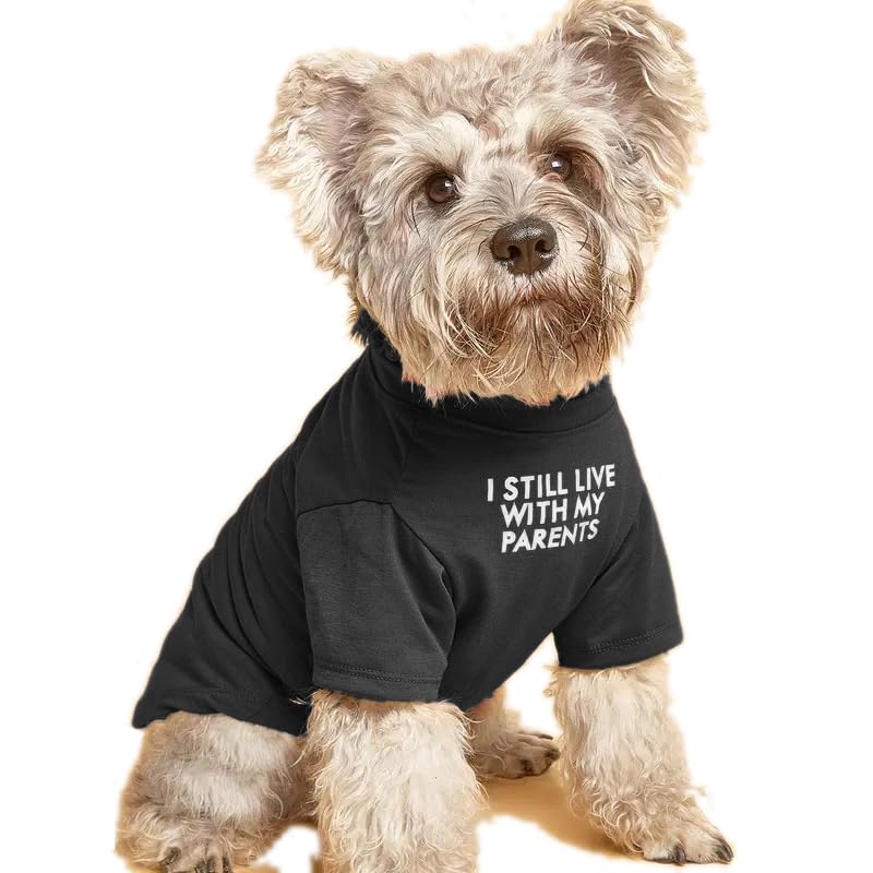 HipGirl petit-chien t-shirt-pull respirant idéal pour les promenades.