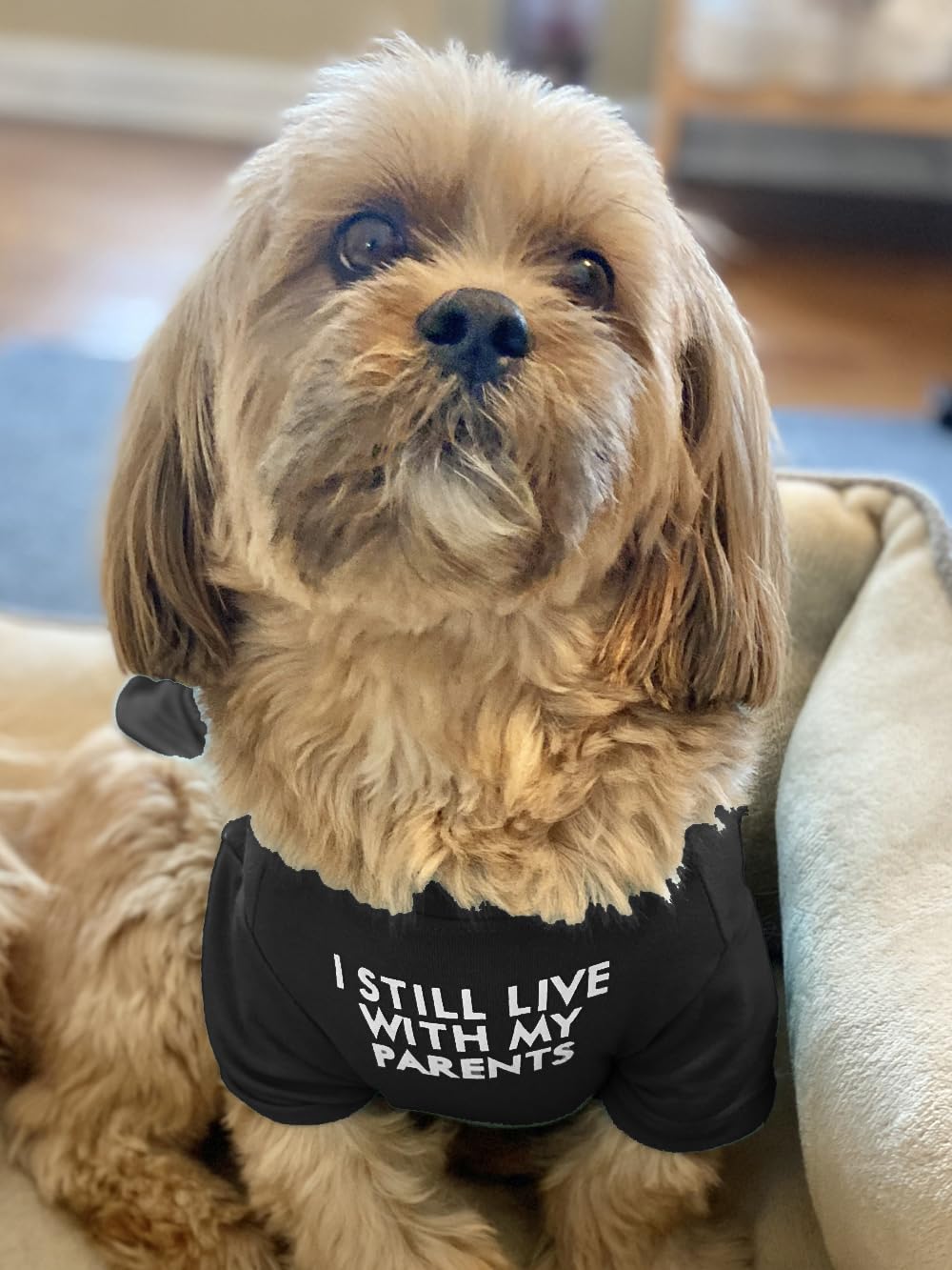 HipGirl tissu doux-respirant sur t-shirt chien, idéal pour jeux et câlins.