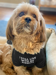 HipGirl tissu doux-respirant sur t-shirt chien, idéal pour jeux et câlins.