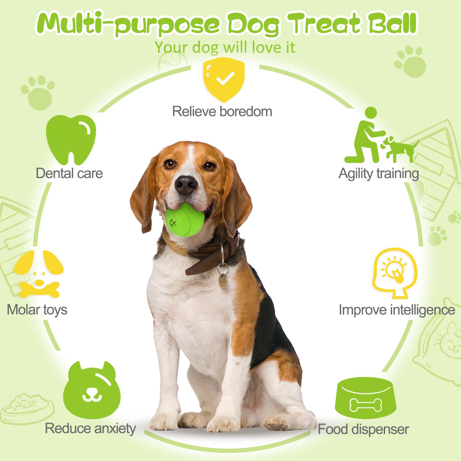 HIPPIH boule education chien vert, parfait pour apprentissage et attention