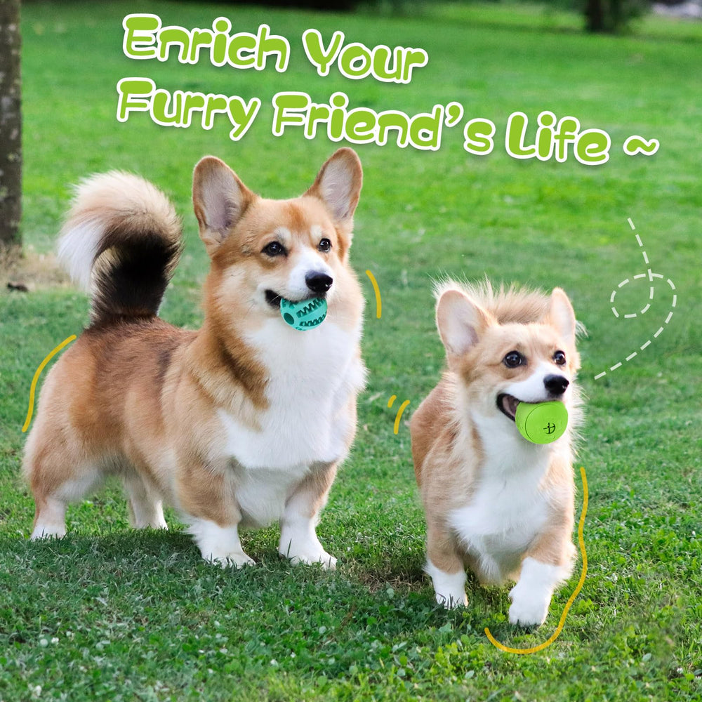 HIPPIH boule jeu interaction chien vert, stimule l'activité et le lien