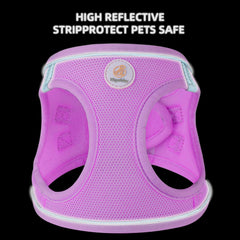 Harnais Hipubby à enfilage rapide, pratique pour les balades.