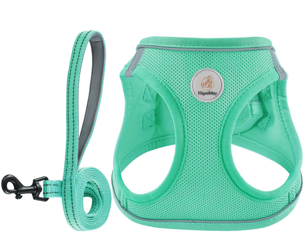 Hipubby harnais maille respirante pour chien, confort tout au long de la journée.
