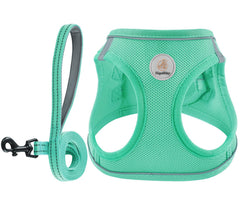 Hipubby harnais maille respirante pour chien, confort tout au long de la journée.