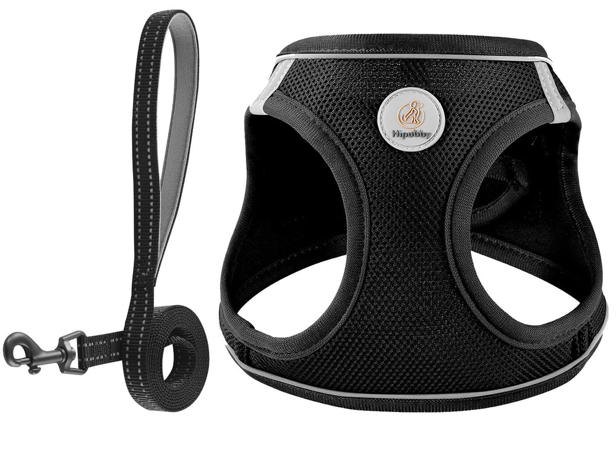 Hipubby harnais pour chien en mesh doux, comfort et liberté lors des promenades urbaines.