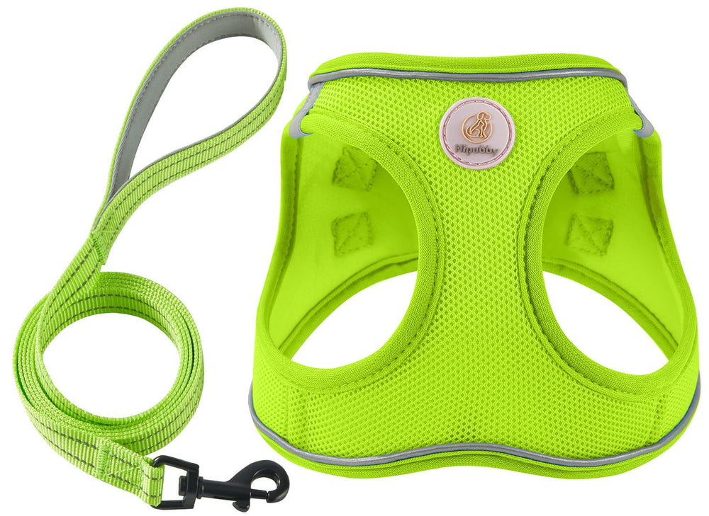 Harnais Hipubby avec bande réfléchissante pour chien, visibilité nocturne.