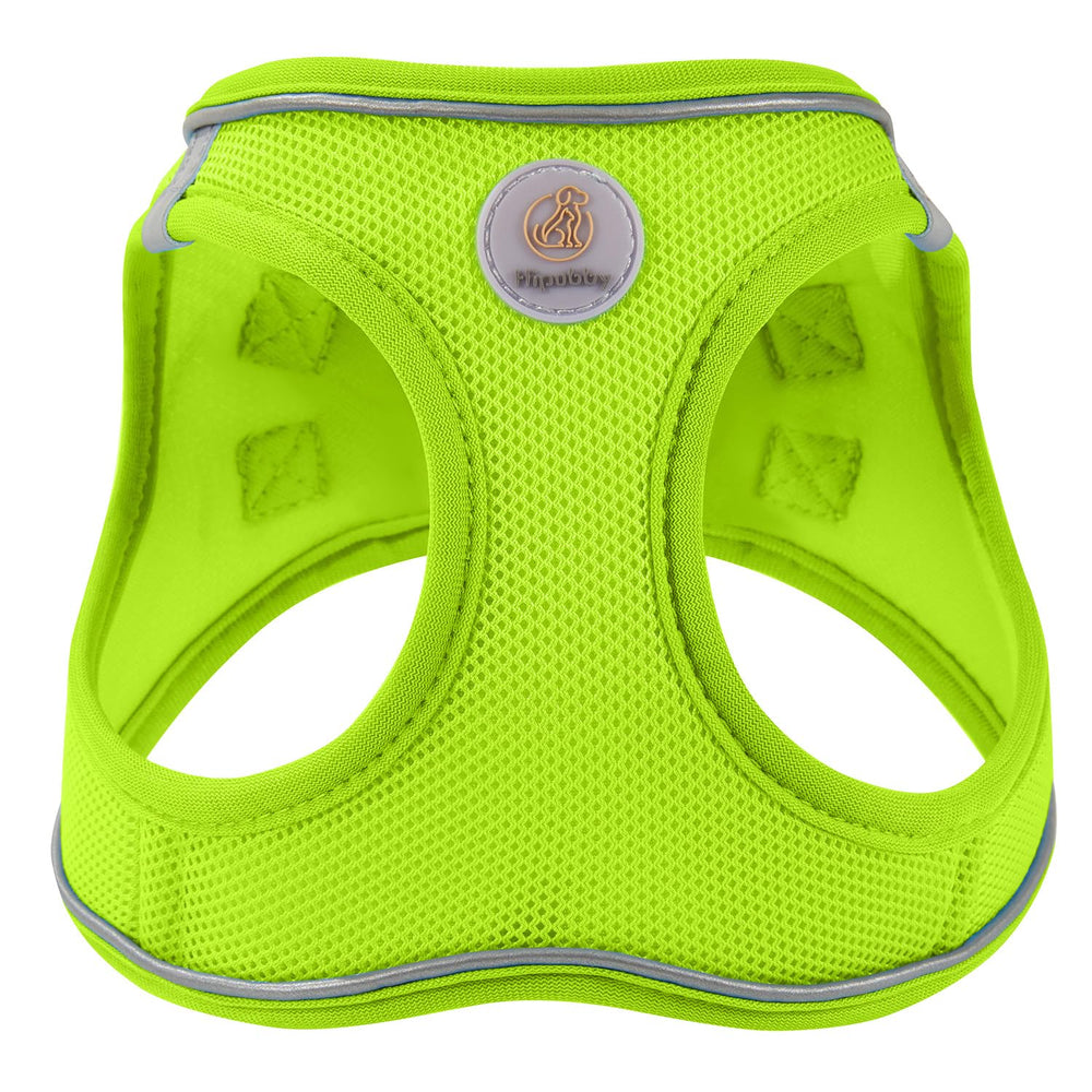 Laisse Hipubby de 5 pieds, réfléchie, pour promenades sécurisées.