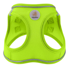 Laisse Hipubby de 5 pieds, réfléchie, pour promenades sécurisées.