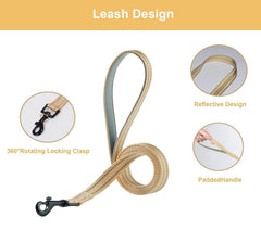 Laisse Hipubby compatible harnais anti-tirage pour des balades sans effort.