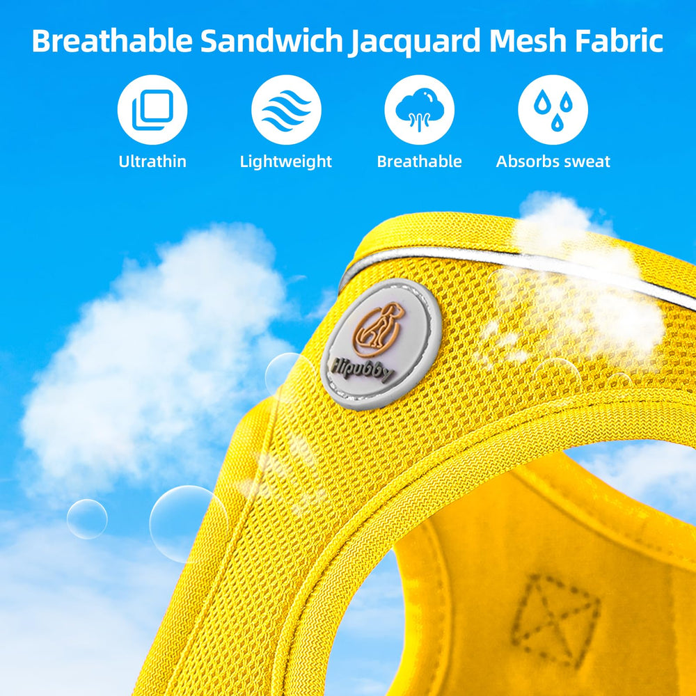 Laisse réfléchissante Hipubby de 5 pieds pour promenades.