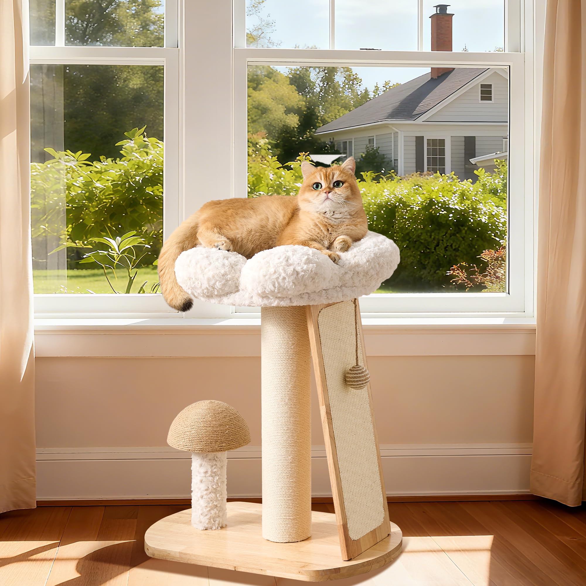 HITTITE Structure intérieure sûre pour chats adultes et chatons, usage quotidien confortable.