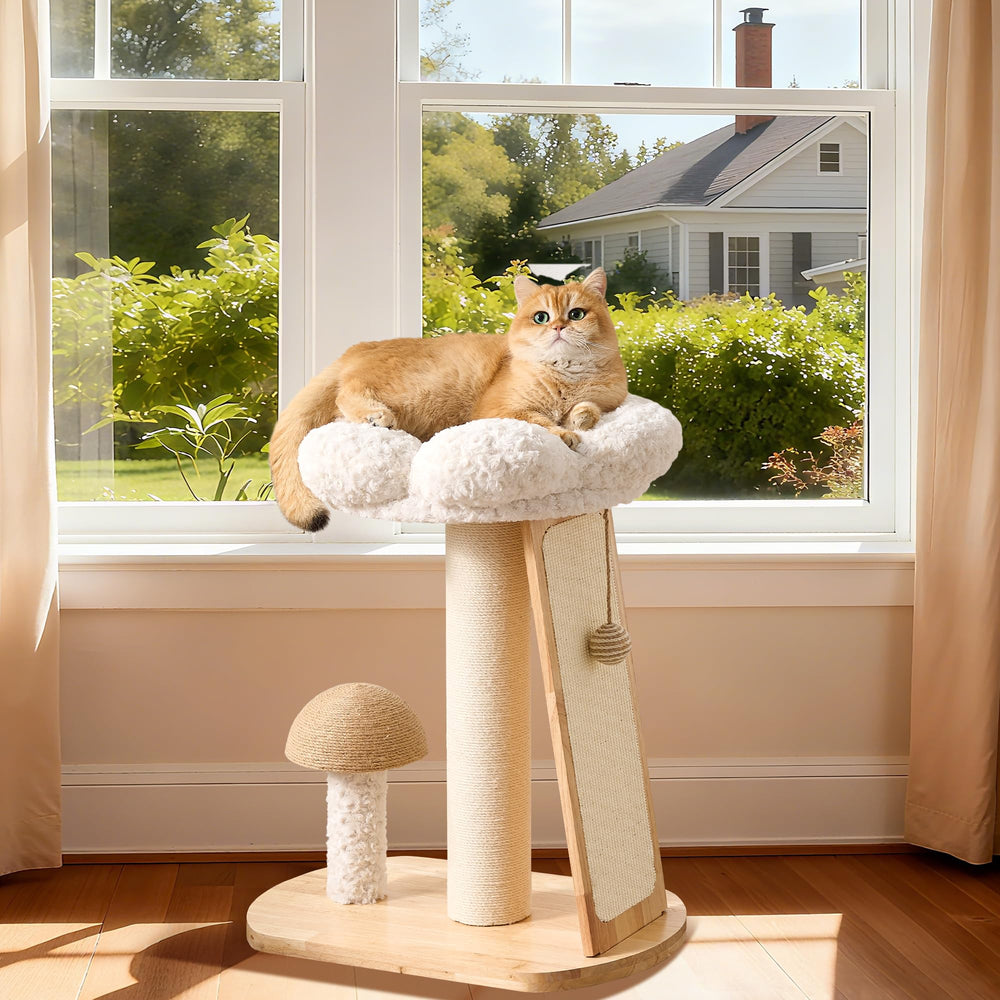 HITTITE Structure intérieure sûre pour chats adultes et chatons, usage quotidien confortable.