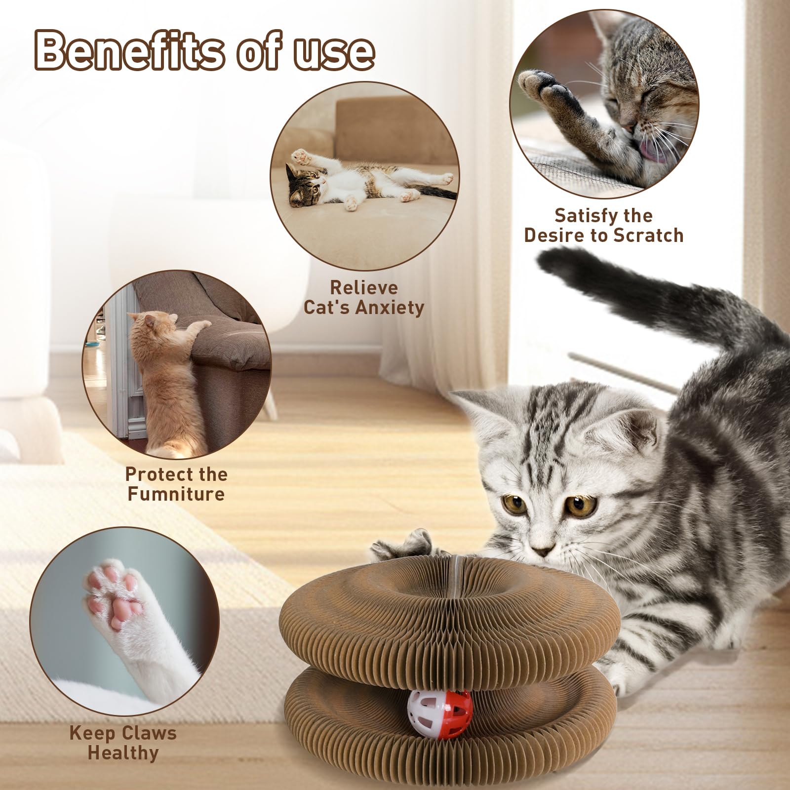 Grattoir formes pliables jouet chat HivaolJoy configurations variées.