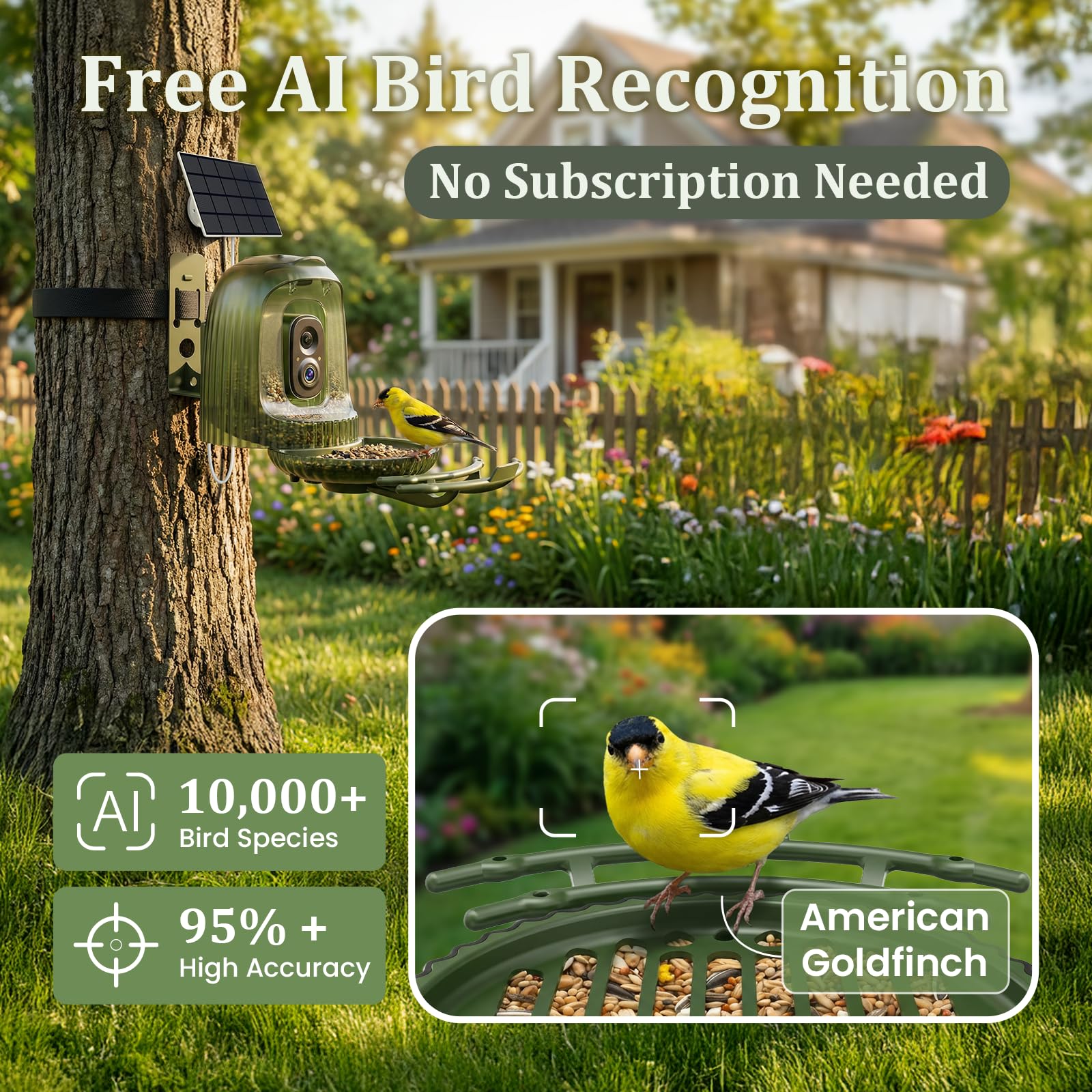 HIXX identification IA des oiseaux dans l application sans abonnement