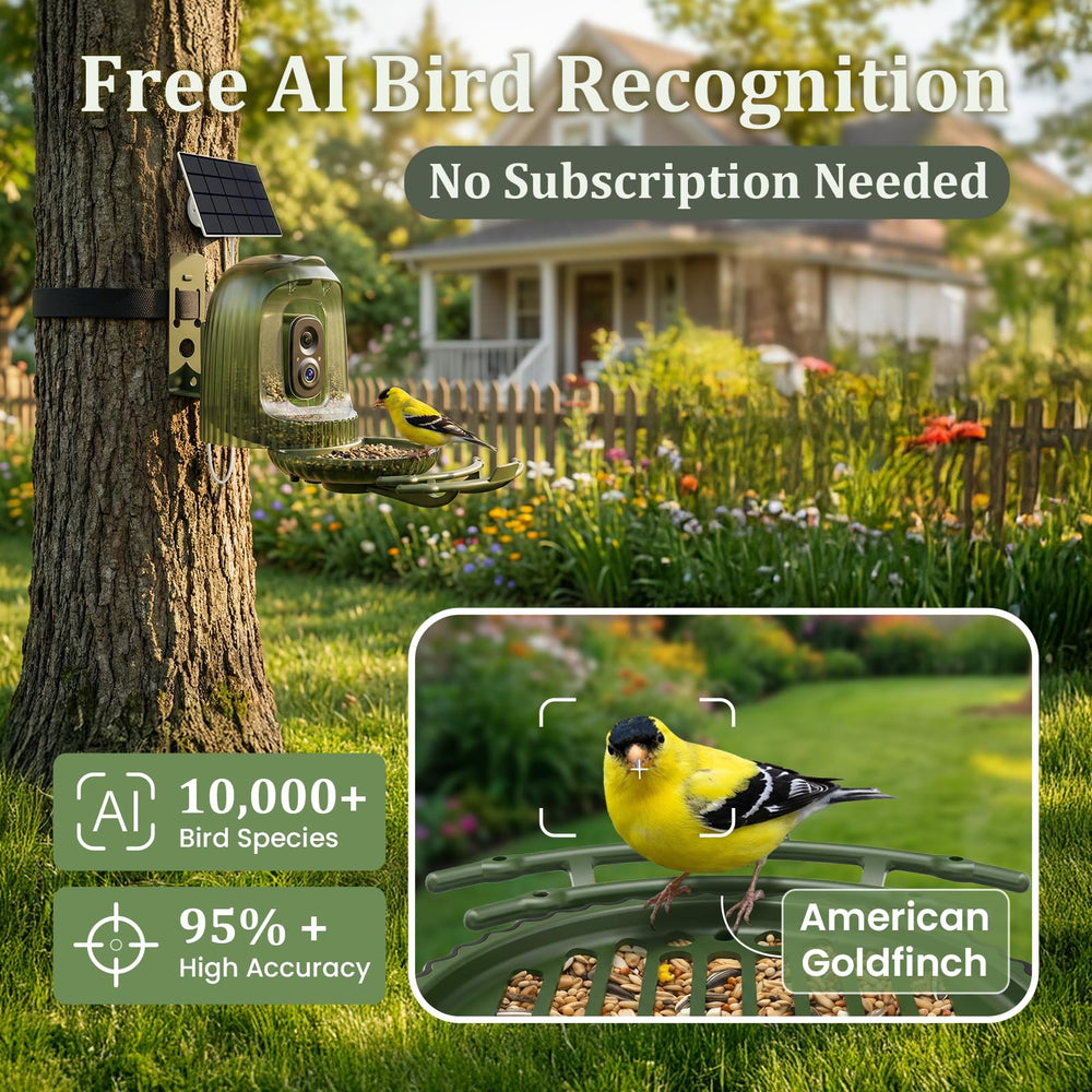 HIXX identification IA des oiseaux dans l application sans abonnement