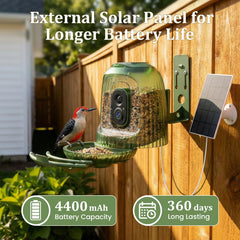 HIXX lumière nocturne solaire pour un éclairage pratique au crépuscule