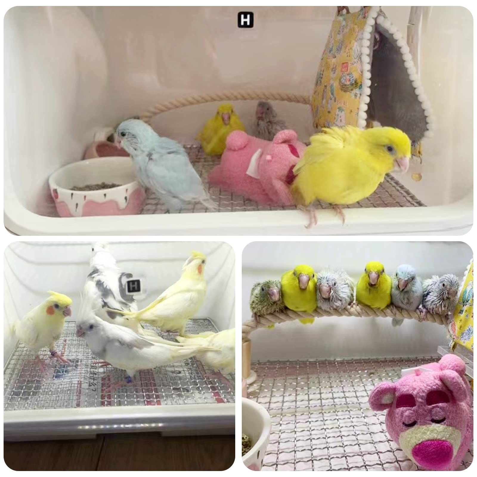 HKDQ chauffage-ptc-rapide chaleur homogène pour oiseaux.