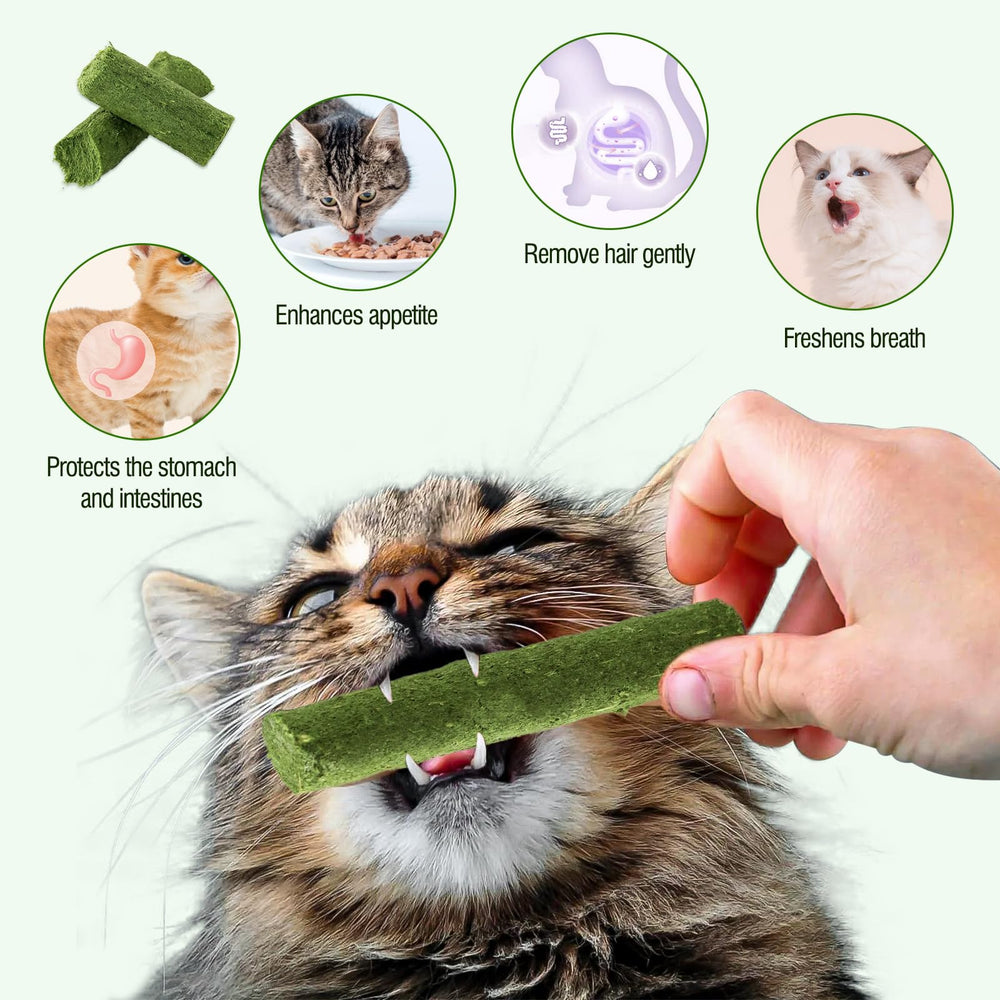 Hkpetie délice herbe-chat naturel, plaisir et gourmandise pour chats.