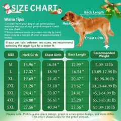 Bonnet elfique pour chien, chaleur douce lors des sorties.