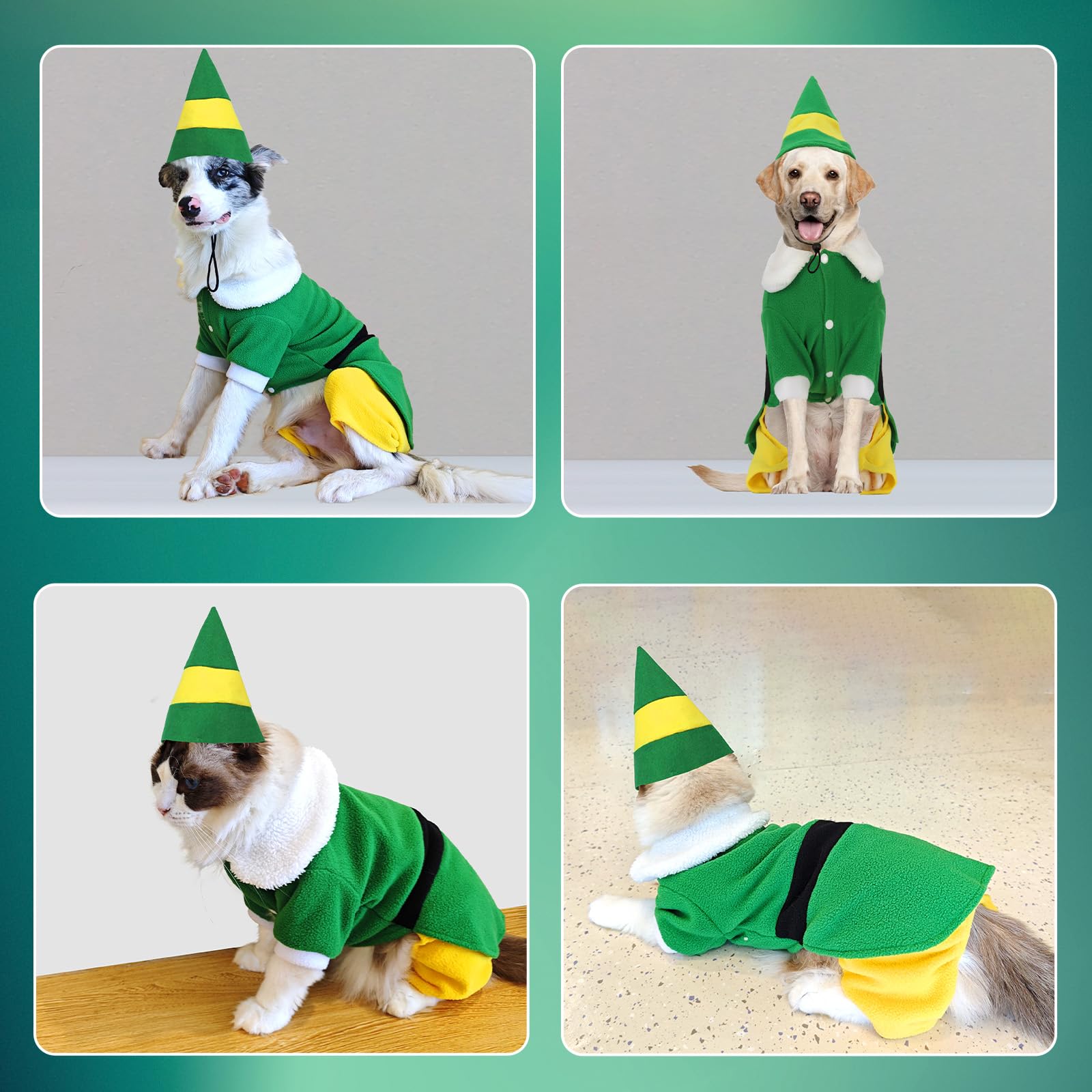 Veste elfique pour chien, confort et style en hiver.