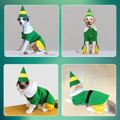 Veste elfique pour chien, confort et style en hiver.