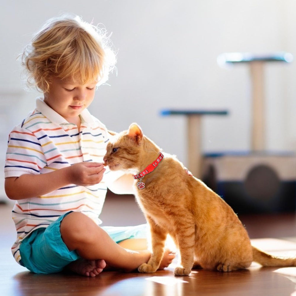 HLJ collier chat pack 4 polyvalent pour plusieurs chats