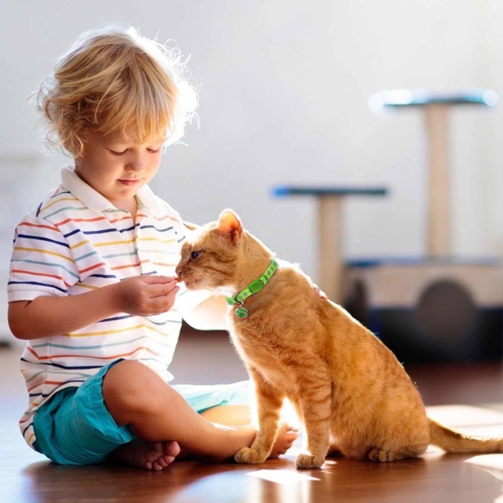 HLJ Collier chat tailles reglables, adapté pour chaton et chat adulte.