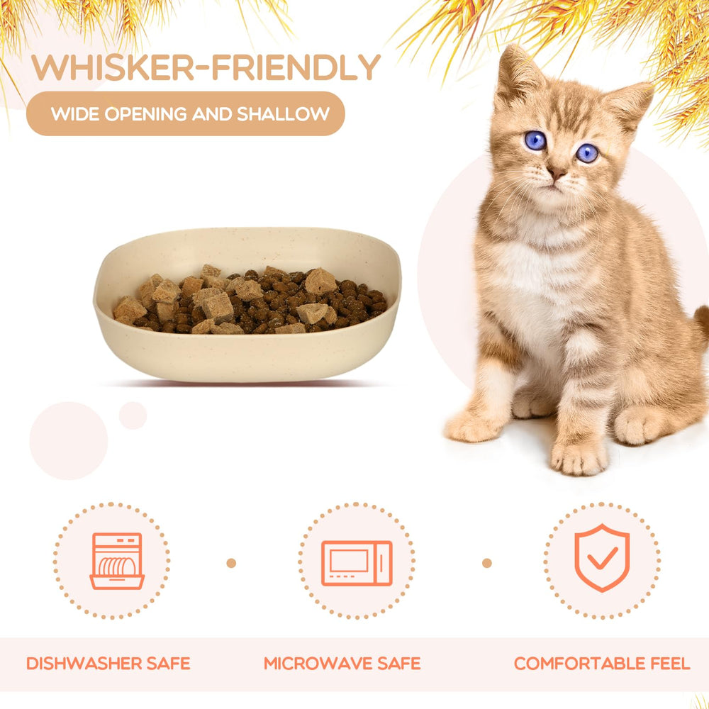 Bol chat HMDZMR couleurs variées, ajoutant du style aux repas.