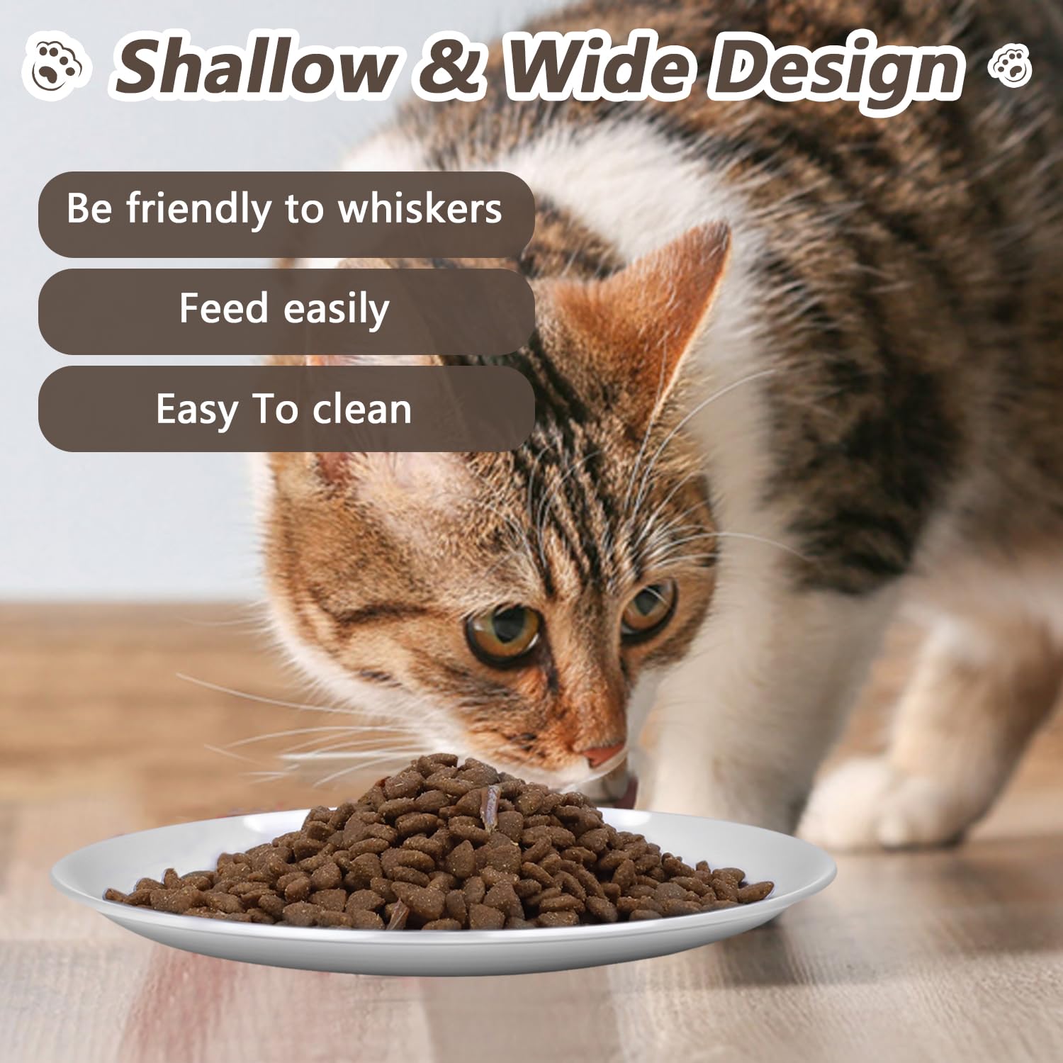 Assiette chat inox HNeekyr nettoyage facile, résidu zéro après lavage