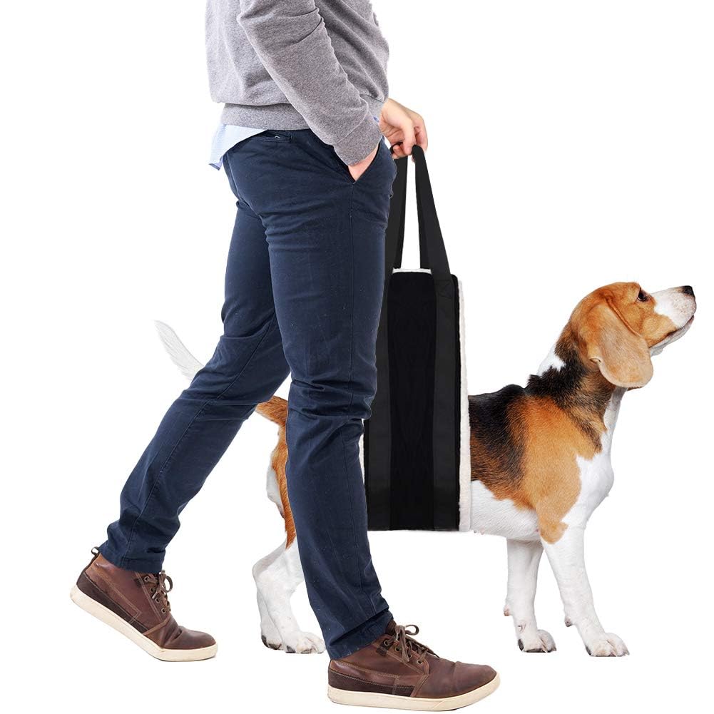 Harnais Oxford durable pour chien grand et sorties quotidiennes.