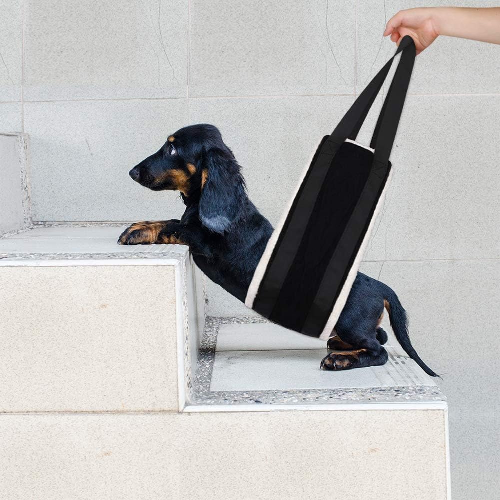 Sac portable inclus pour ranger et transporter le dog lifter.