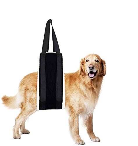 Sling chien aide mobilité grand chien pour transfers et promenades.