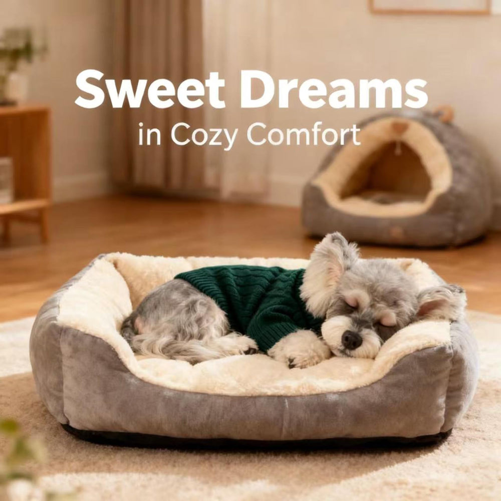 Hó Pêng-iú pull chien arrière: coupe adaptée et chaleur enveloppante