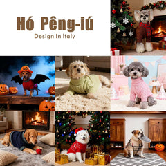 Hó Pêng-iú pull chien brun idéal pour l'hiver