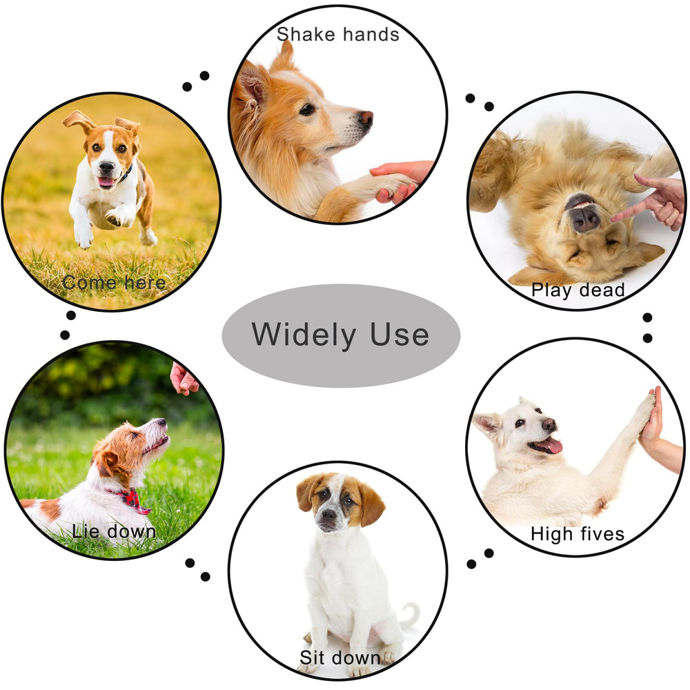 Clicker HoAoOo usage chien, pratique en déplacement.