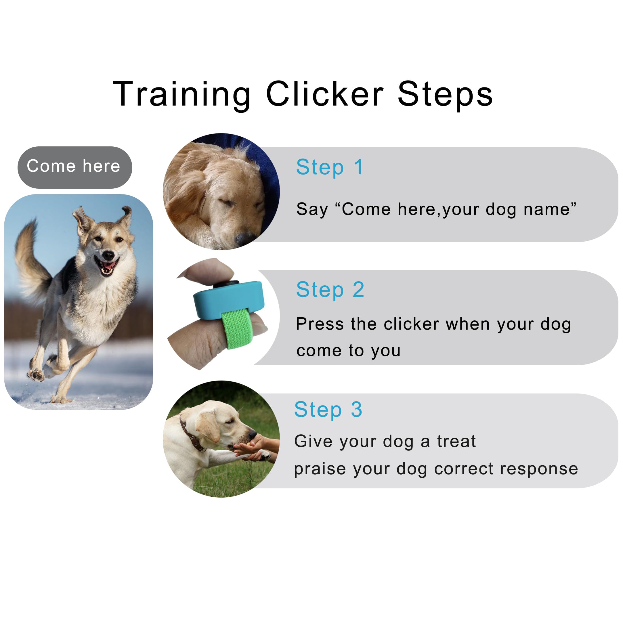 HoAoOo clicker dressage chats, communication rapide et ludique.