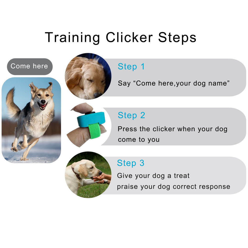 HoAoOo clicker dressage chats, communication rapide et ludique.