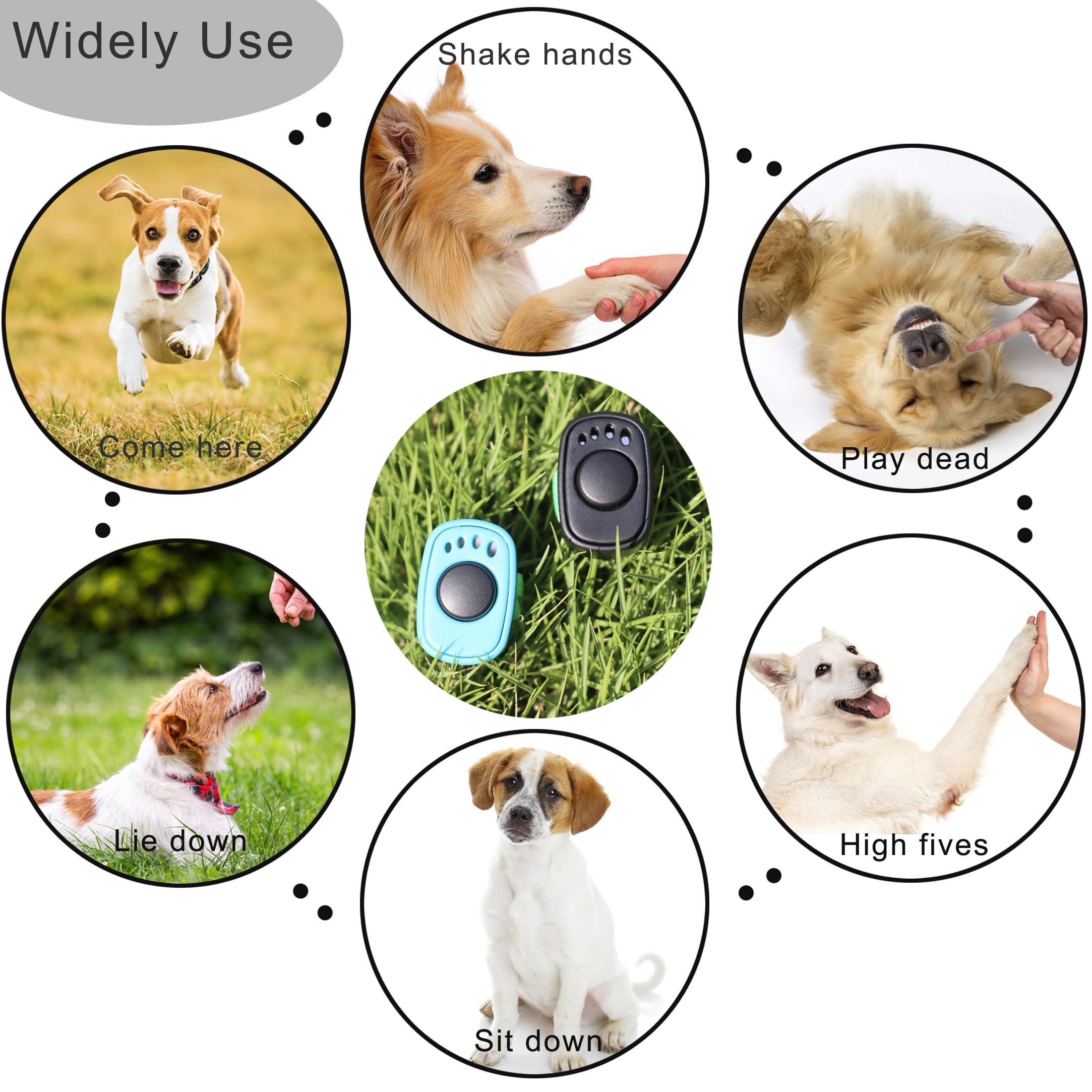 HoAoOo ensemble formation, outil simple pour chiens et autres animaux.