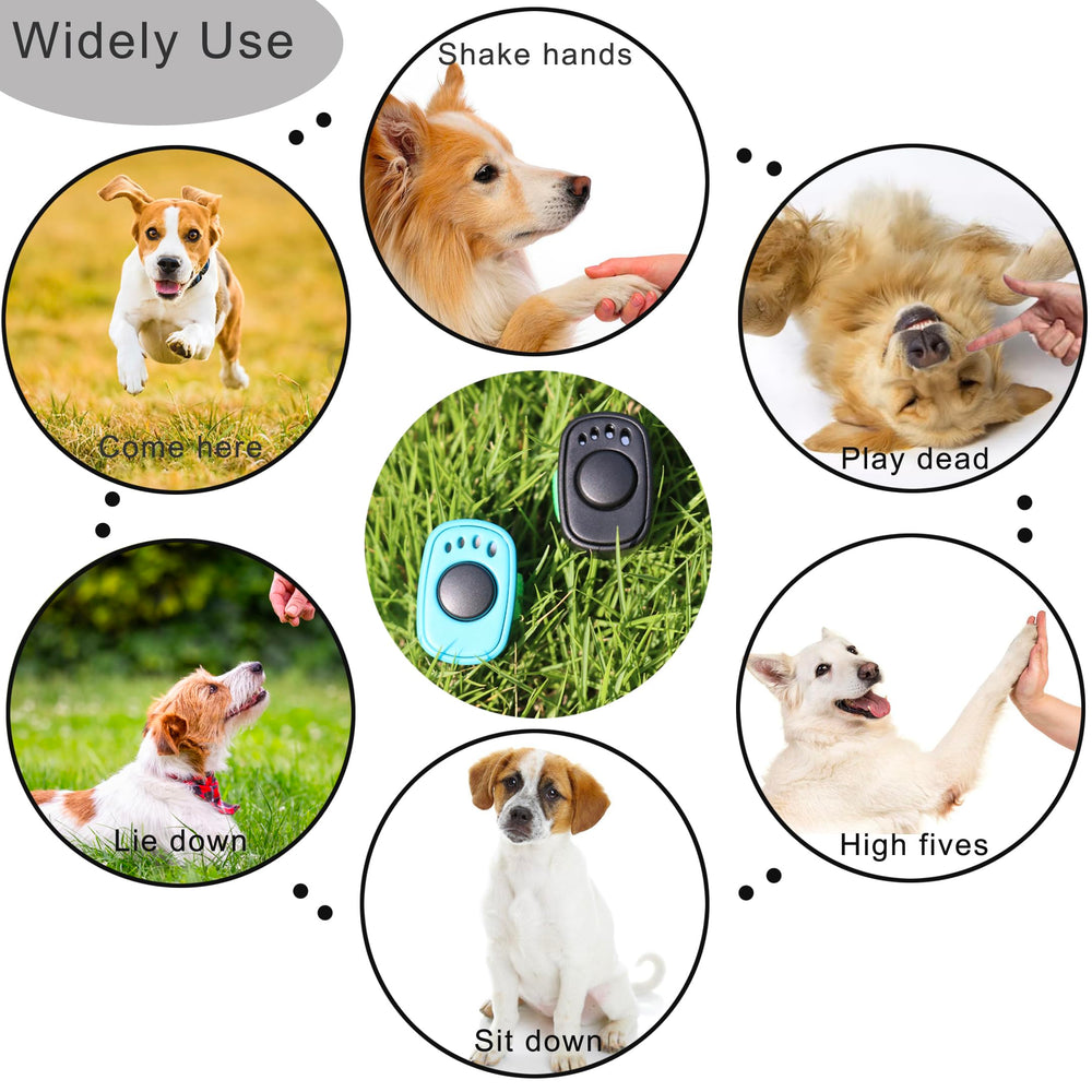 HoAoOo ensemble formation, outil simple pour chiens et autres animaux.
