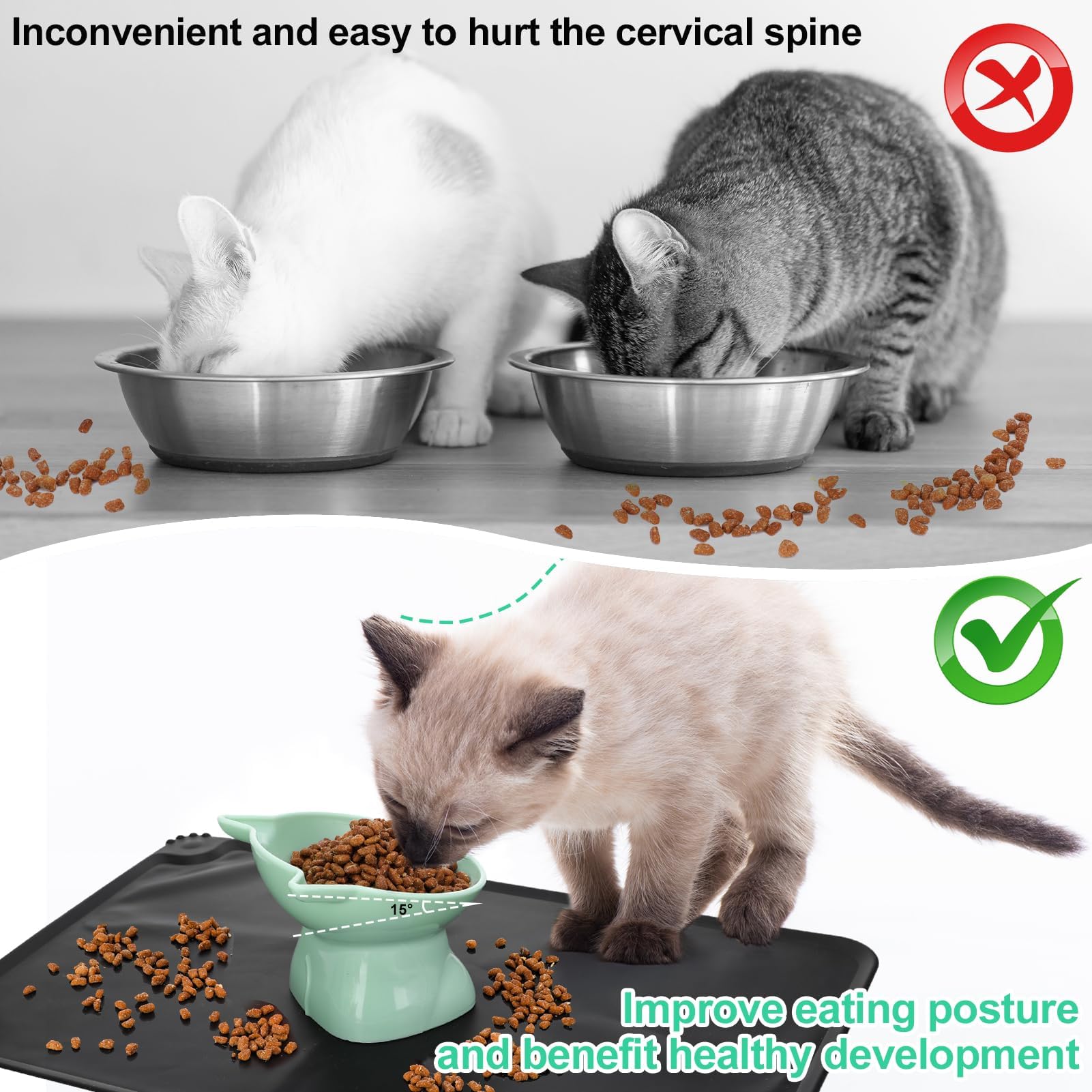 Hoemwarm ensemble 3 bols, parfait pour plusieurs chats ou petits chiens.