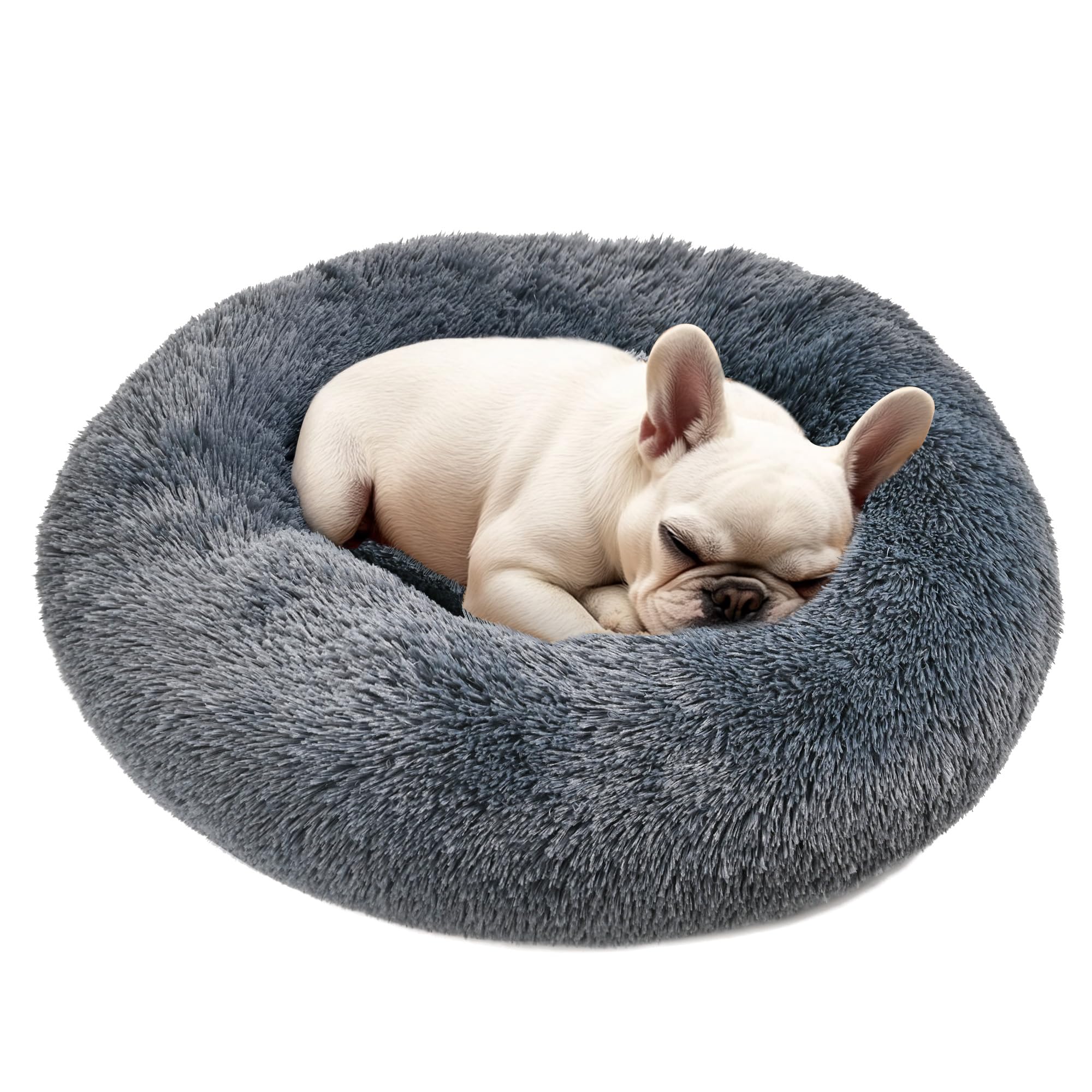 Lit Hoewina pour petit chien, pose repos, confort sécurisant.