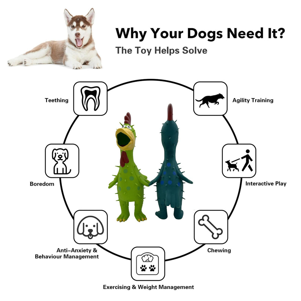 Hoiasem poulet latex à pois vert, divertissement interactif pour chiens.