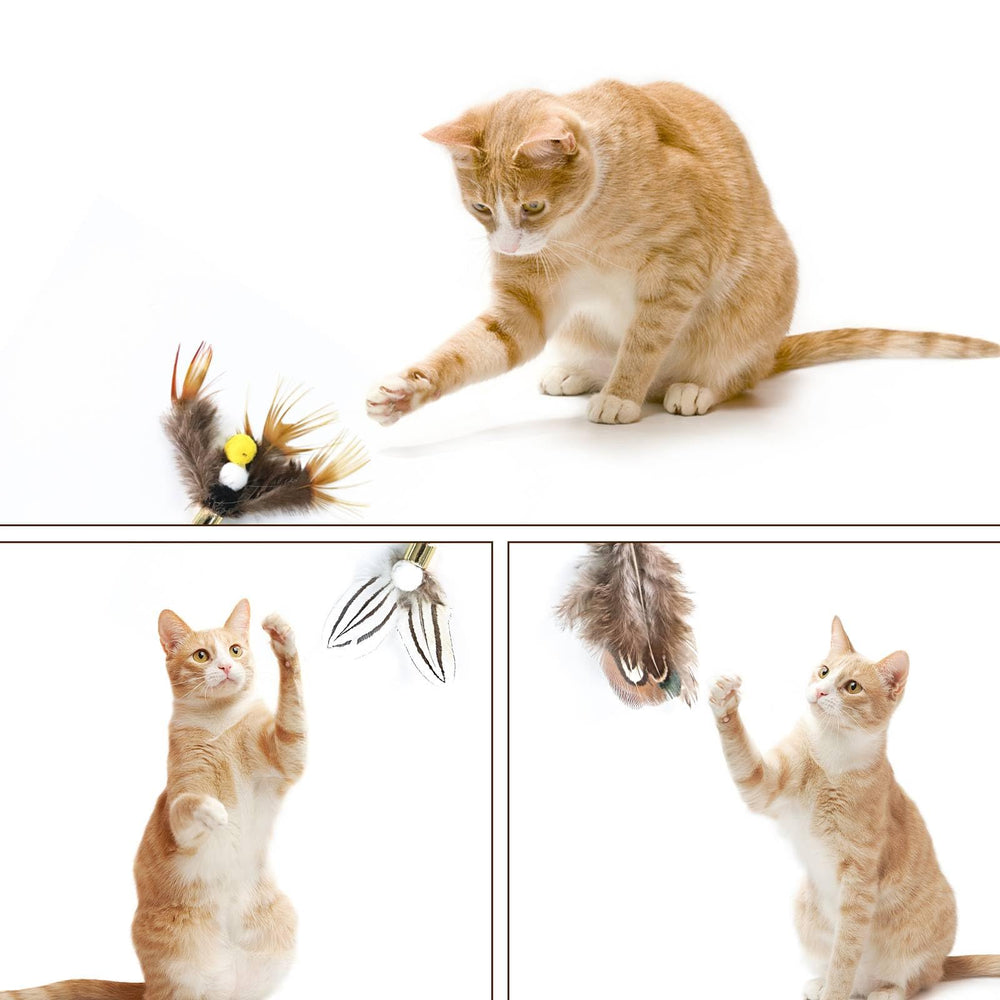 Léger et durable, parfait pour sessions de jeu quotidiennes.